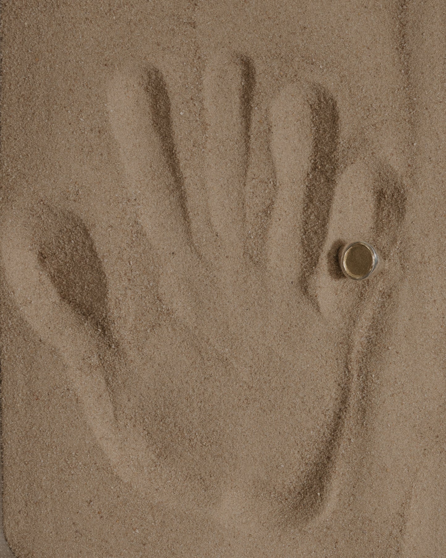 The Signature Ring - Yellow Gold (Large)
